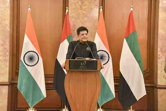 Union Commerce and Industry Minister Piyush Goyal addressing delegates of UAE (@PiyushGoyal/Twitter)