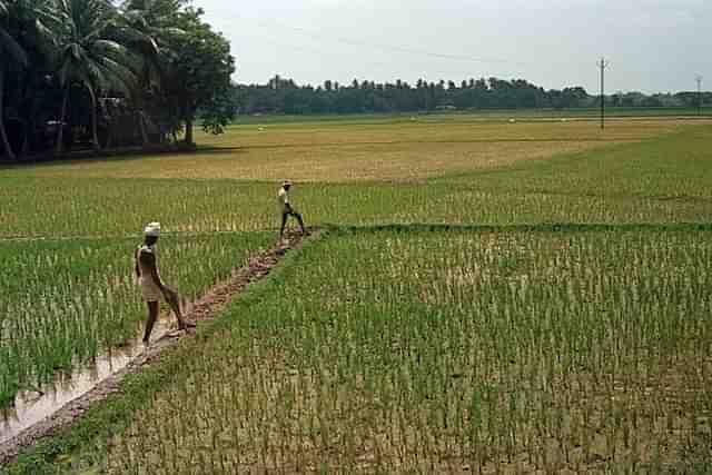 Massive irrigation scheme to benefit 22 lakh farmers.