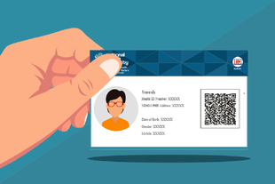 Representative Image (Pic Via ABDM  Website)