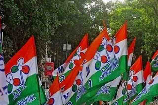 TMC flags (Representative Image)