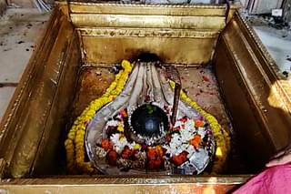 The Avimukteshwar Linga that has been reinstalled in the surroundings of the temple in a much neater space and super structure.