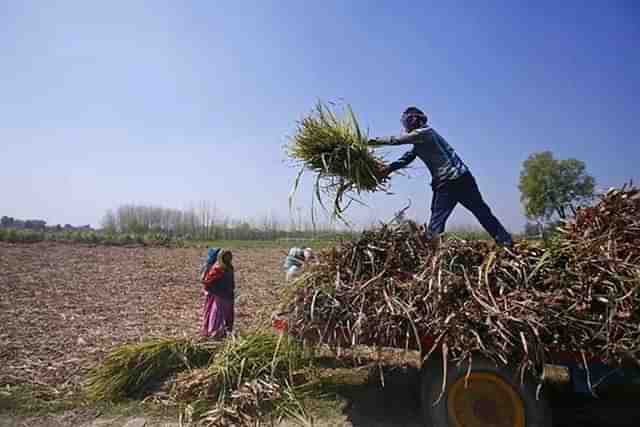 Farmers (Representative Image)
