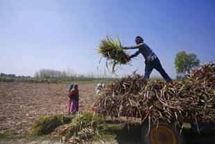Farmers (Representative Image)