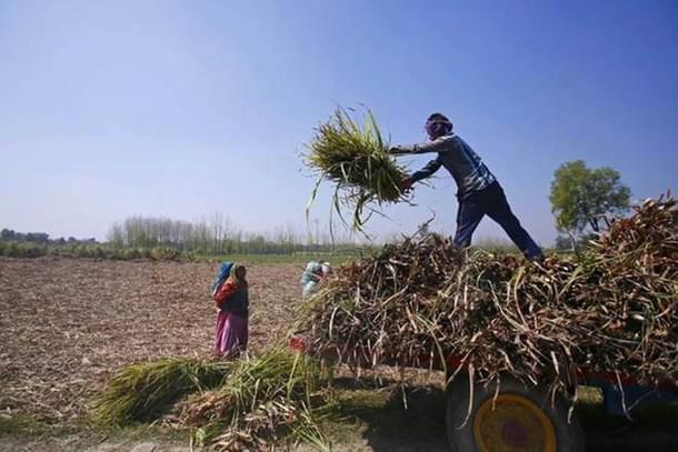 Farmers (Representative Image)
