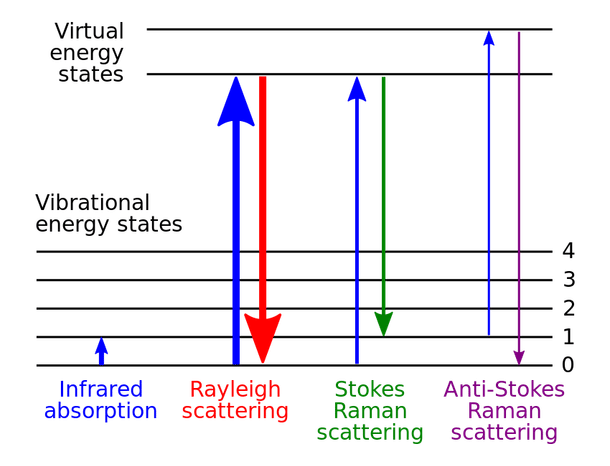 Figure 1. English: Molecular energy levels and Raman effect (Image: Moxfyre, based on the work of Pavlina2.0/Wikimedia Commons)