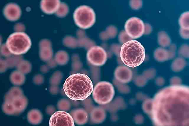 Cancer cells. (Representative image)