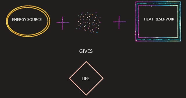 The Curious Question Of Evolution And Entropy