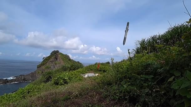 BrahMos (Andaman and Nicobar Command/Twitter)