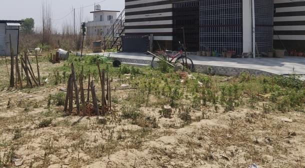 The front gate of victim’s house opens to a vacant plot.
