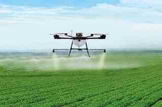 A drone spraying pesticide on crop. 