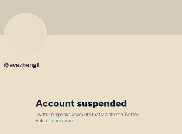 @evazhengll is one of the many Chinese propaganda accounts suspended by Twitter.