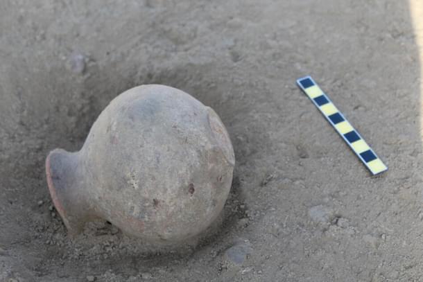 Harappan archaeology of late has been revealing very interesting facets of ancient Indians.