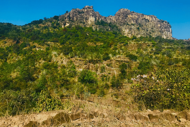 Satpura Tiger Reserve, Madhya Pradesh (Photo: National Tiger Conservation Authority/Twitter)