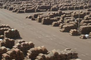 Foodgrains stored at a market yard. (Representative image)