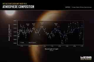 Gas giant planet WASP-96 b's atmosphere composition (