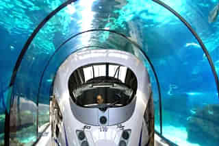 Underwater Train (Lilfrizy) (Representative image)