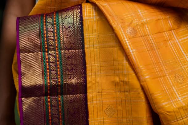 Close up of border with several motifs (Madhurya Creations)