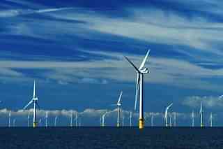 An offshore wind farm 
(Getty Images)