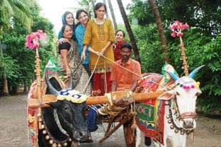 Driving a bullock cart on holiday can be fun. Photo courtesy: agritourismbaramati.com