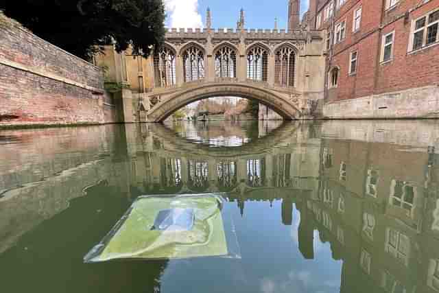 Floating artificial leaf