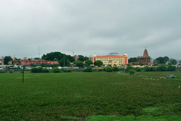 Hyacinth has taken over the entire water body