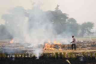 Stubble burning (NARINDER NANU/AFP/Getty Images)