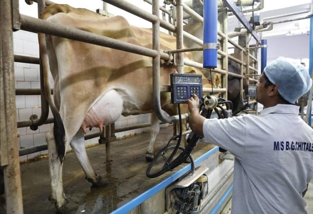 Cow-to-Cloud  at the Chitale Dairy in Maharashtra