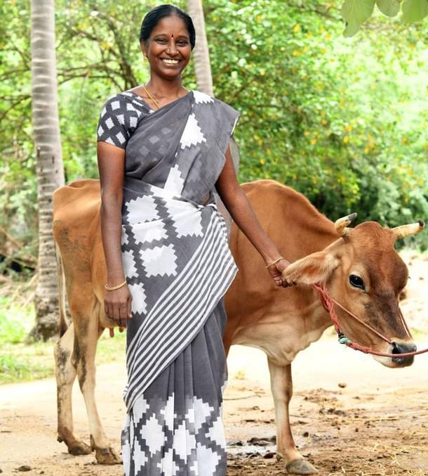 The force behind the global success of India's milk revolution... small farmers and their cows.