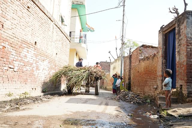 Another view of the Faqir Muslim and Chamar Hindu basti