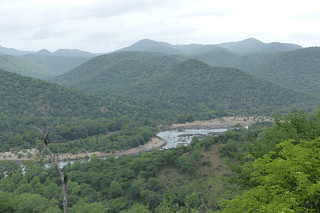 This wider area is an important home for elephants and tigers, among other wildlife, especially those species which rely on river Cauvery. (Photo: Bombay Natural History Society/Twitter)