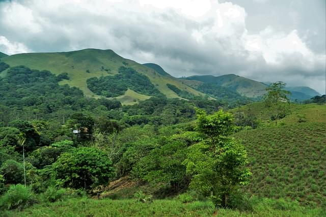 Shola Forests in Western Ghats of Kerala (Anand, Wikimedia Commons)