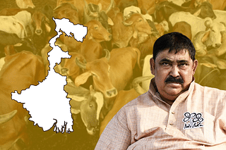 West Bengal's  cattle smuggling scam