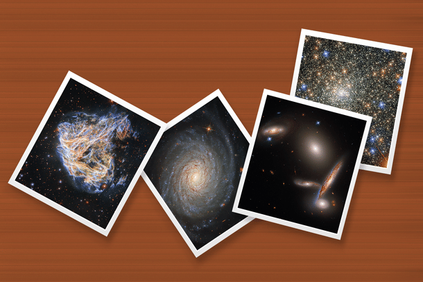 The four best images