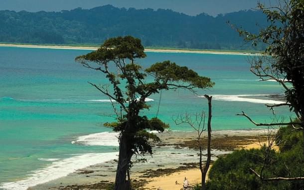 Galathea Bay/Abhranil Neogi