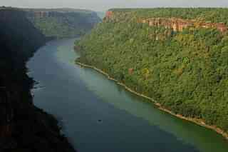 The Chambal river.