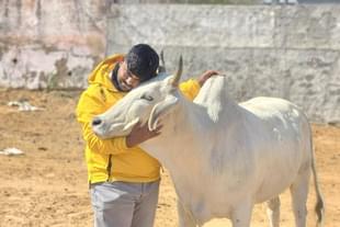 Monu Manesar (Twitter)