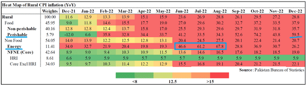 Table 2: Rural inflation in Pakistan (Open in new tab to enlarge)