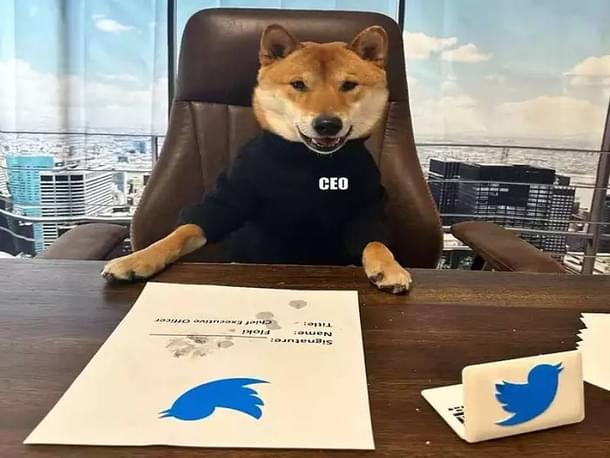 Elon Musk's outrageously insensitive Twitter post suggested his dog was better than the previous CEO.