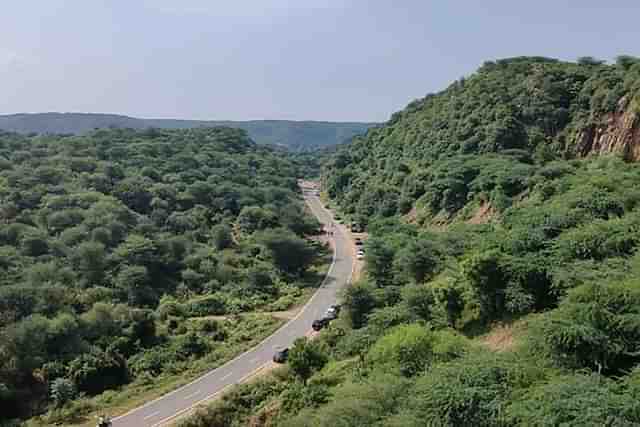 Leopard Trail On Aravalli Range.(Image credit: Anupriya Mishra).