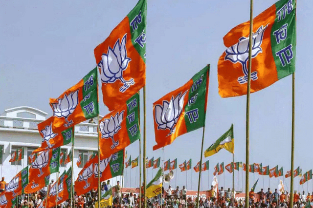 BJP flags. (Representative image).
