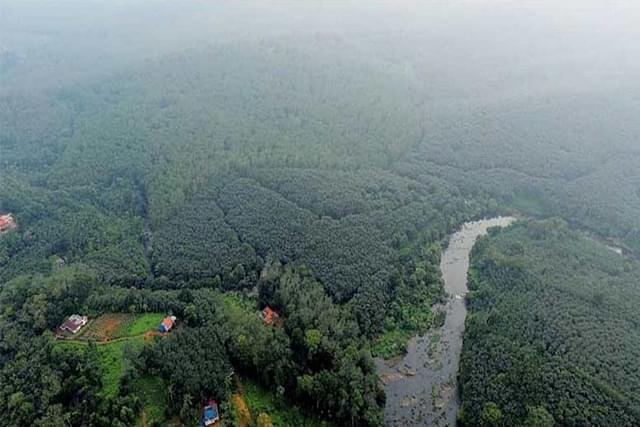 Cheruvally Estate, where the Sabarimala Greenfield airport is proposed to be established.