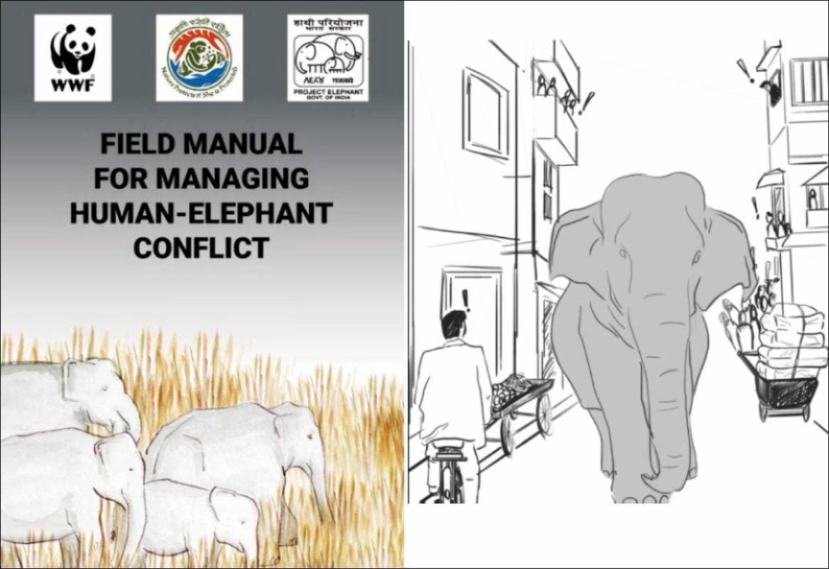 After 30 Years Of Project Elephant, Technology Helps Reduce Human ...