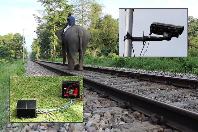  ‘Test run’! As an elephant is led along a railway track, CSIRO-developed seismic sensors (inset left) and thermal imaging sensor (inset right)  are calibrated to detect its passing. Photo credit:  CSIRO.