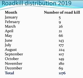 Roadkill distribution (WII) 