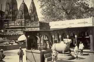 The Nandi at Kashi Vishwanath, facing away from his Lord. (Wikimedia commons)