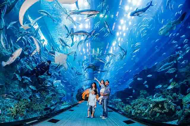 Aqua Marine Park in Dubai (Representative Image)