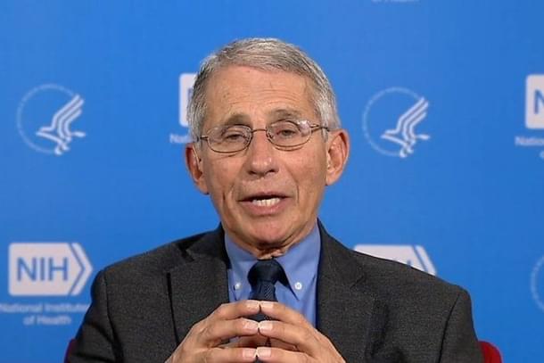 Anthony Fauci (Pic Via Twitter)