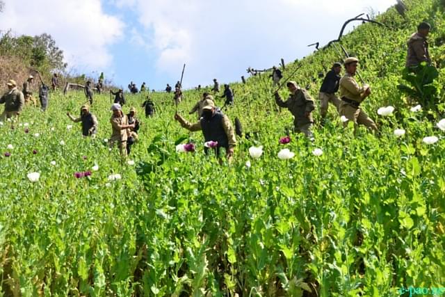 Manipur Police destroying a poppy crop cultivated by Kukis