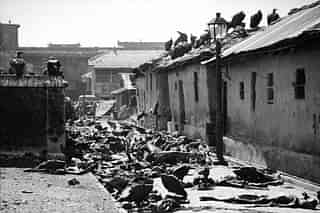 Bodies of Hindus massacred by Muslims in Calcutta in August 1946. 