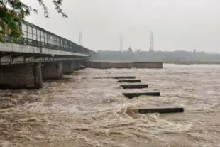 Yamuna River (Pic Via Twitter)